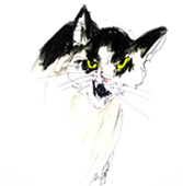 Illustration aus Die freche Friederike